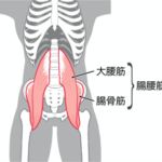 「腸腰筋の使い方」次第で美脚（脚やせ）レベルは圧倒的に上がる。